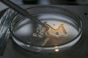 laboratório orion