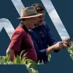 gerente virtual do agronegócio