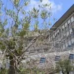 Papa Francisco está internado no Hospital Gemelli de Roma desde sexta-feira, 14 de fevereiro