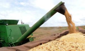 CNA pede que governo reveja suspensão de Plano Safra | Crédito: Agência Brasil