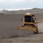 Produtor rural durante a colheita de soja em sua propriedade em Ibirubá, Rio Grande do Sul, em alusão à nota do Inmet sobre chuvas de março de 2025