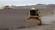 Produtor rural durante a colheita de soja em sua propriedade em Ibirubá, Rio Grande do Sul, em alusão à nota do Inmet sobre chuvas de março de 2025
