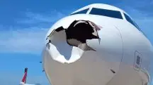 Na última semana, dois casos ganharam destaque nacional. O primeiro envolveu uma aeronave da Latam, que sofreu danos na parte frontal e retornou ao aeroporto | Foto: Divulgação/Latam