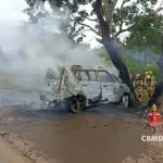 Depois de se chocar com uma árvore, carro pegou fogo; Polícia Civil investiga acidente que matou duas pessoas em rodovia do Distrito Federal | Foto: Corpo de Bombeiros do DF/Divulgação