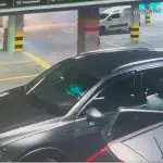 Além do Carrefour, Cobasi, na zona sul de SP, também teve caso de sequestro: bandidos abordam mulher no estacionamento | Foto: Reprodução/Twitter/X