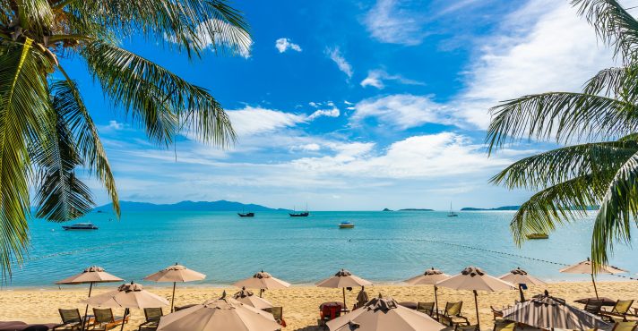 A cidade de Ubatuba (SP) conta com mais de cem praias | Foto: Lifeforstock/Freepik
