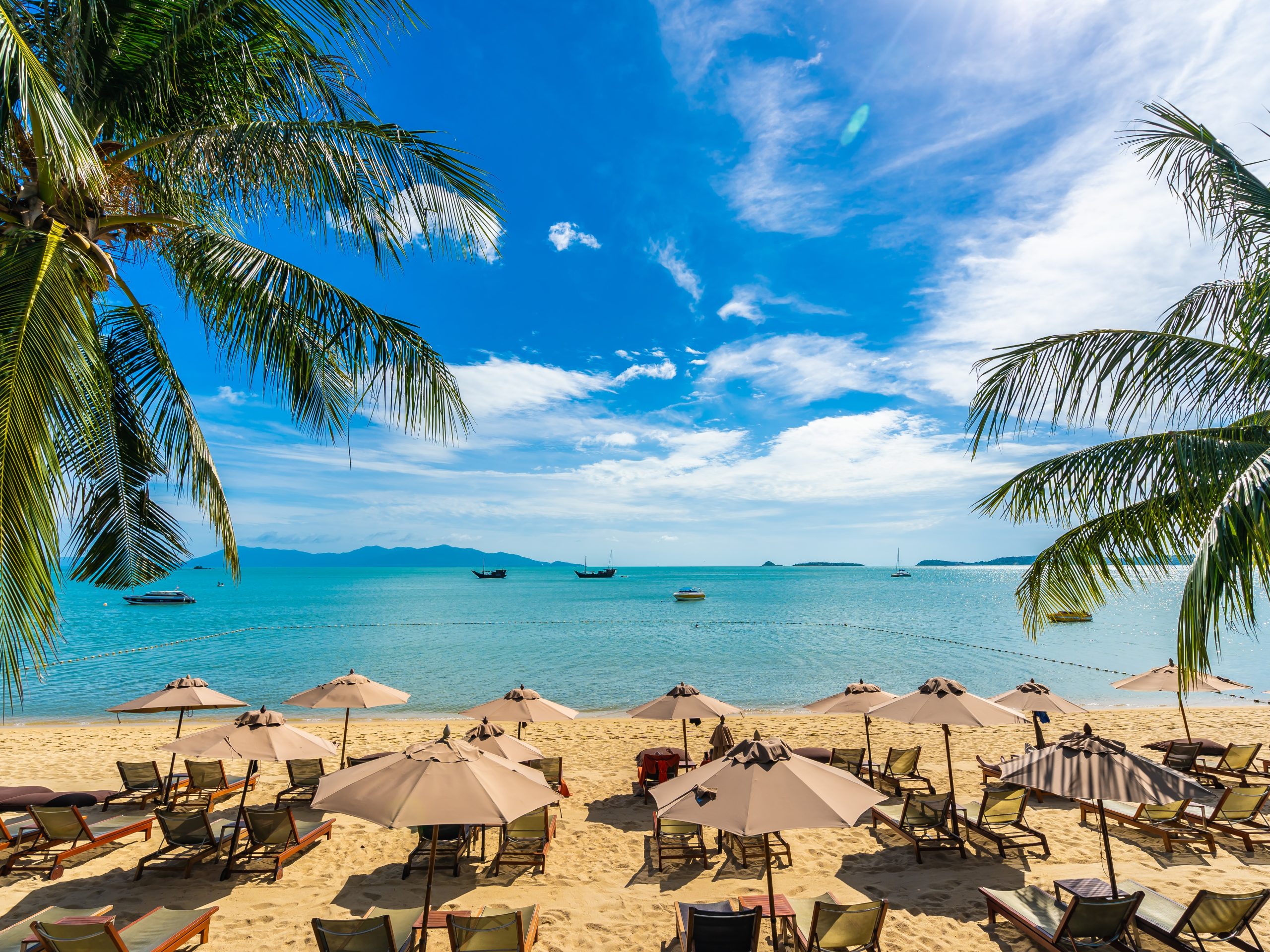 A cidade de Ubatuba (SP) conta com mais de cem praias | Foto: Lifeforstock/Freepik