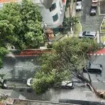 temporal são paulo