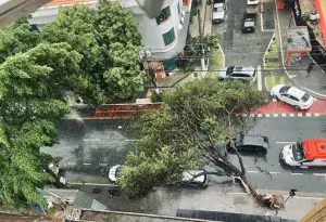 temporal são paulo