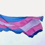 bandeira trans
