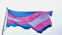 bandeira trans