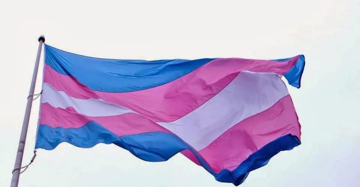 bandeira trans