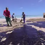 Equipes trabalham na retirada de petróleo na Praia Ponta do Mangue, na cidade de Maragogi (AL), em 2019