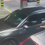 Mulher foi sequestrada no estacionamento do pet shop Cobasi | Foto: Reprodução/X