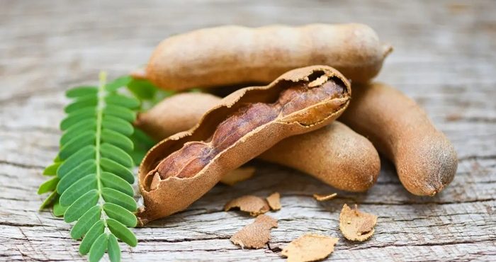 tamarindo - a força do agro - capa