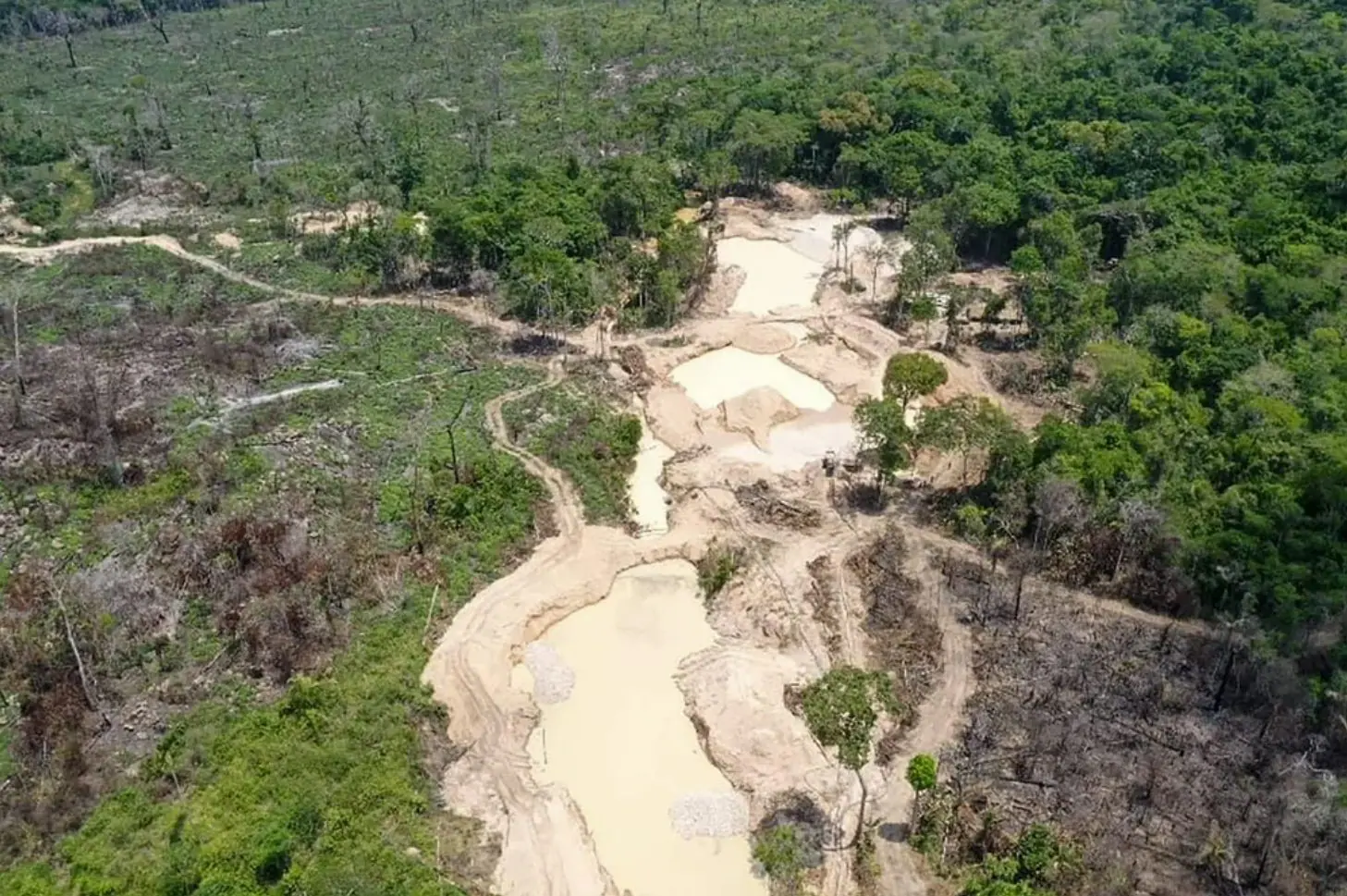 APA Triunfo do Xingu