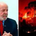 Depois de usar a preservação da Amazônia como apelo de campanha em 2022, governo Lula da Silva coleciona os piores resultados da história | Foto: Reprodução/Redes sociais