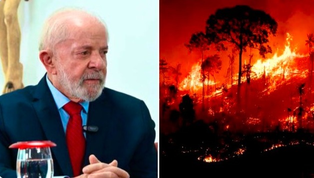 Depois de usar a preservação da Amazônia como apelo de campanha em 2022, governo Lula da Silva coleciona os piores resultados da história | Foto: Reprodução/Redes sociais