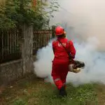 Foram comparados dois tipos de fungos e os resultados foram surpreendentes | Foto: Reprodução/Pexels | Imagem ilustrativa