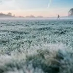A chegada da massa de ar frio pode favorecer a formação de geada fraca em áreas da Região Sul | Foto: Wirestock/Freepik