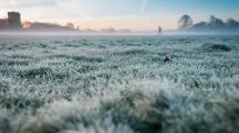 A chegada da massa de ar frio pode favorecer a formação de geada fraca em áreas da Região Sul | Foto: Wirestock/Freepik