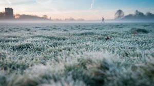 A chegada da massa de ar frio pode favorecer a formação de geada fraca em áreas da Região Sul | Foto: Wirestock/Freepik