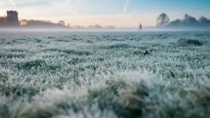 A chegada da massa de ar frio pode favorecer a formação de geada fraca em áreas da Região Sul | Foto: Wirestock/Freepik