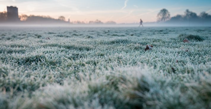 A chegada da massa de ar frio pode favorecer a formação de geada fraca em áreas da Região Sul | Foto: Wirestock/Freepik
