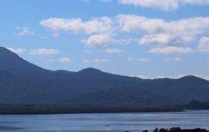 Reserva Biológica Bom Jesus, no Estado do Paraná: governo usa área proibida para assentar famílias indígenas e abre confronto com ambientalistas | Foto: Divulgação/ICMBio