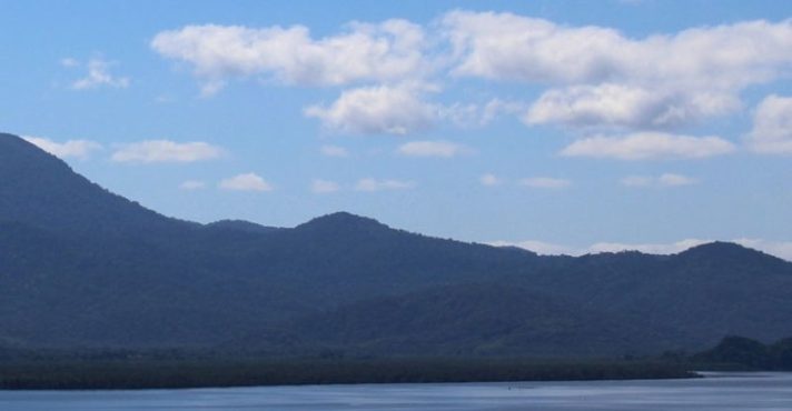 Reserva Biológica Bom Jesus, no Estado do Paraná: governo usa área proibida para assentar famílias indígenas e abre confronto com ambientalistas | Foto: Divulgação/ICMBio
