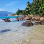 Praia da Ilha Grande em Angra dos Reis | Foto: Reprodução/Redes Sociais