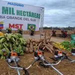 A fazenda Vergareña, onde o MTS instalou a base, tem cerca de 180 mil hectares | Foto: Divulgação/MST