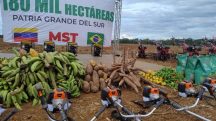 A fazenda Vergareña, onde o MTS instalou a base, tem cerca de 180 mil hectares | Foto: Divulgação/MST