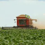 Plantação China Agro Brasil