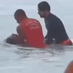 Bombeiros resgatam corpo de surfista em praia de Santos: ondas de até 3 metros de altura e alertas da Defesa Civil | Foto: Reprodução/Twitter/X