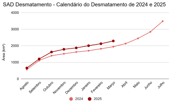 Desmatamento na Amazônia sobe 18% a poucos meses da COP-30