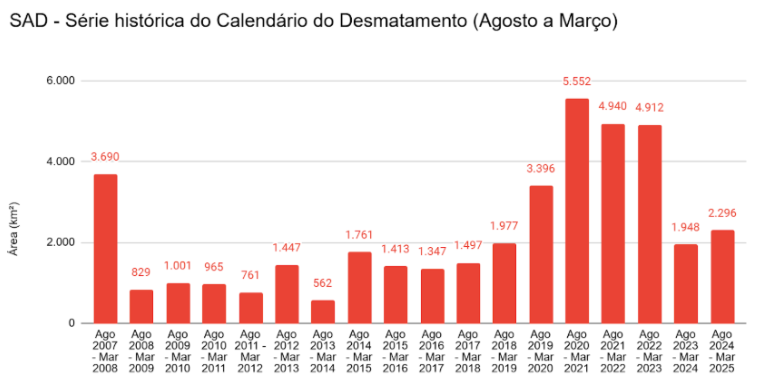 A conferência da ONU sobre o clima está marcada para novembro, em Belém (PA); enquanto isso, a degradação florestal cresceu 329% no ano