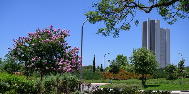 Weizmann pesquisa Israel