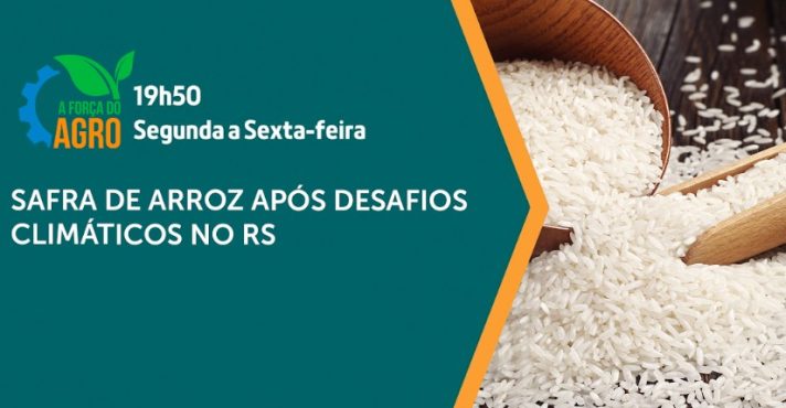 a força do agro - arroz - 14042025