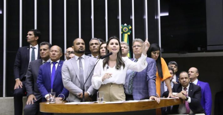 carol de toni e deputados do PL