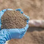 fósforo - fertilizante