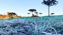 Geadas cobrem a vegetação ao amanhecer na região Sul