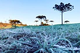 Geadas cobrem a vegetação ao amanhecer na região Sul