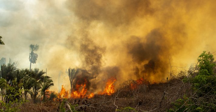 Queimadas na Amazônia no Pará