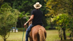 Vaqueiro monta em um cavalo | Foto: Mayara Klingner/Pexels