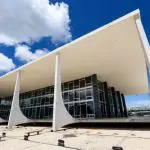 ré grávida STF _1 stf pcc