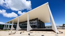 ré grávida STF _1 stf pcc