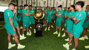 Palmeiras é o time mais lucrativo do Brasil; veja o ranking dos 20 clubes com maior lucro em 2024
