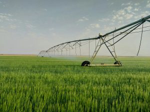 Apesar dos desafios, o produtor é resiliente. Graças a ele, o alimento chega à mesa do brasileiro | Foto: Reprodução/Pexels