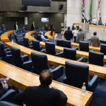 O vereador Rubinho Nunes (União Brasil), autor do projeto, afirmou que o objetivo é ‘resguardar a língua portuguesa no âmbito da gestão municipal’ de São Paulo | Foto: Afonso Braga/Câmara Municipal de São Paulo